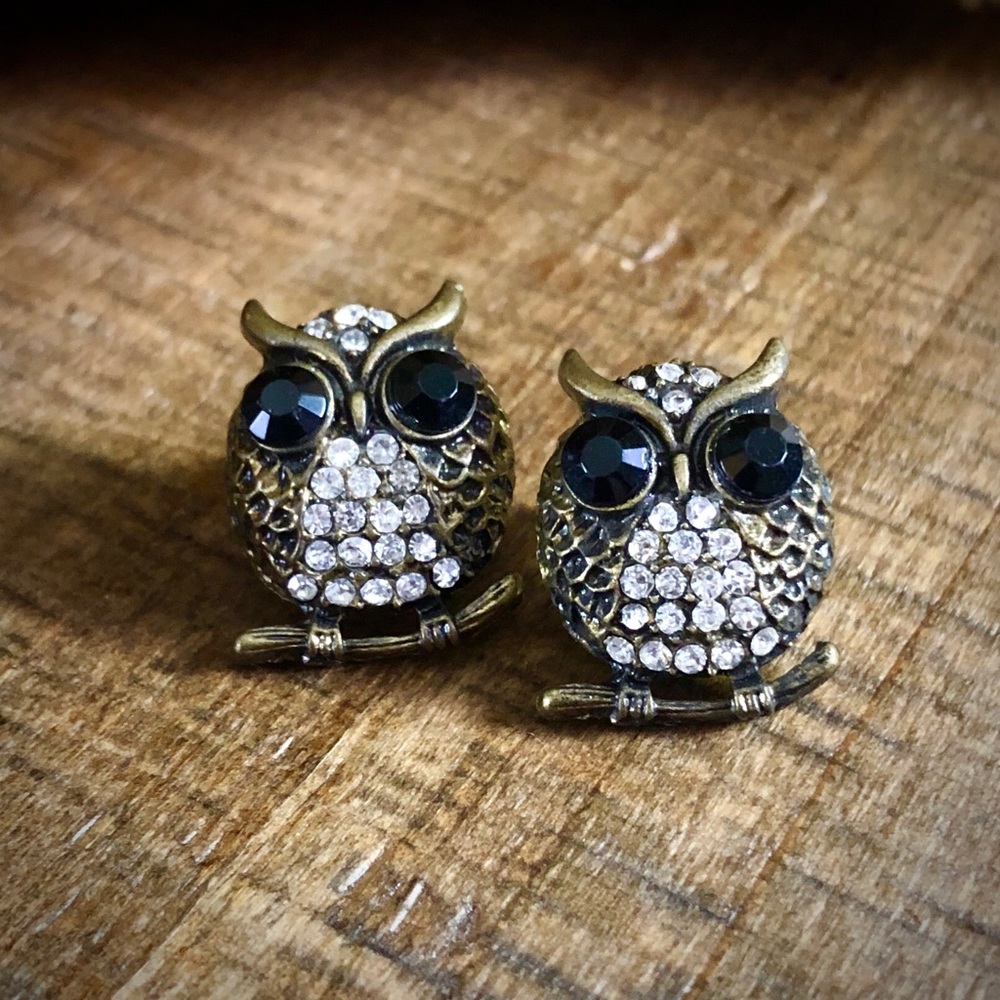 Cute Owl Stud Earrings